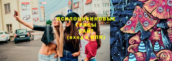 молекула духа Дмитров