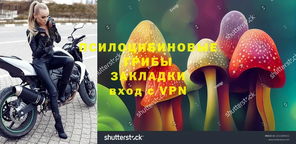 спиды Дмитриев